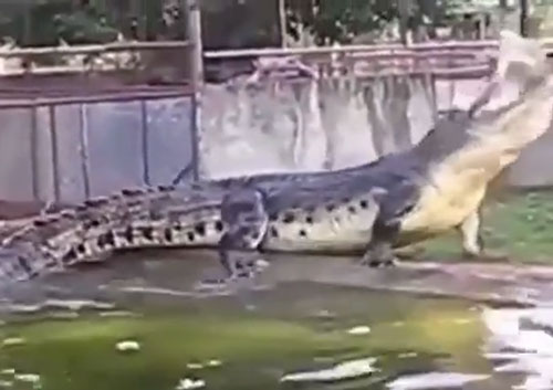 PTI News Corporation youtube