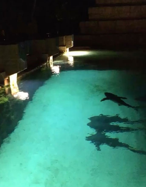 totalfratmove Instagram