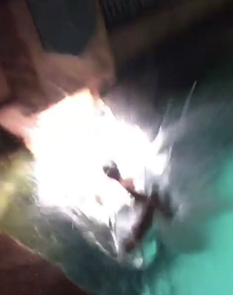 totalfratmove Instagram