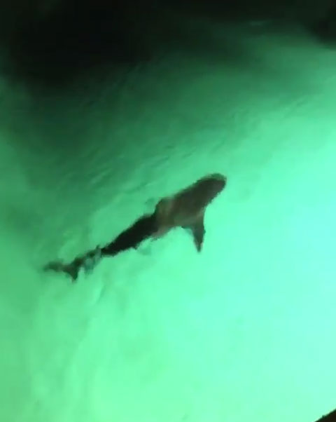 totalfratmove Instagram