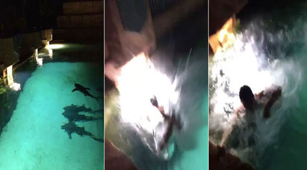 totalfratmove Instagram