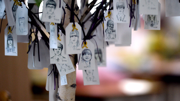 세월호가 인양된 23일 경기도 안산 기억의교실에 세월호 희생자의 얼굴이 나무에 걸려 있다.  박지환 기자 popocar@seoul.co.kr