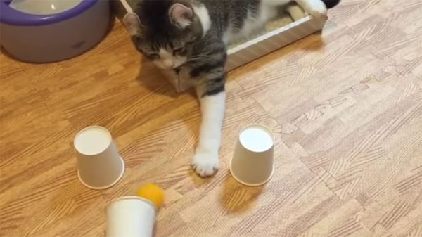 AJIL AJIL K J youtube