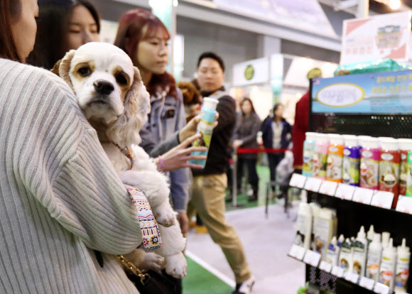 각종 애견제품이 한곳에
