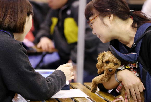 ’최적의 애견제품 찾아드려요’