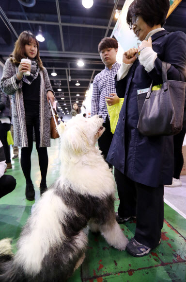 ’사람이 정말 좋아요’