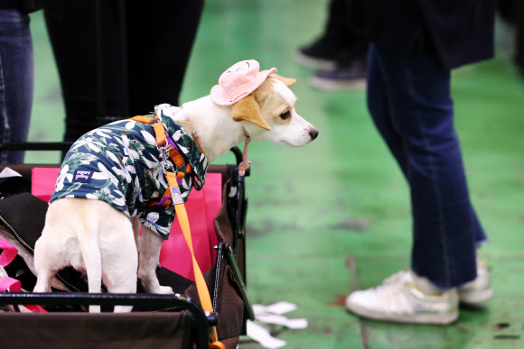 ’세상구경 나왔어요’