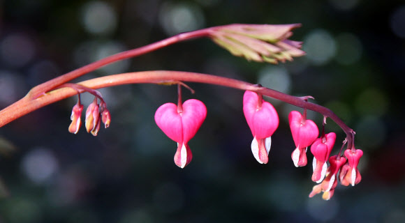 ’봄볕 머금고’