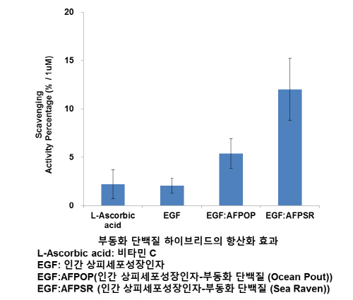 (주)넥스젠바이오텍이 국내 최초로 부동화 단백질 (Anti-Freeze Protein, AFP)과 인간상피세포성장인자 (Epidermal growth factor, EGF) 이종 간의 하이브리드 단백질 개발 및 대량생산에 성공했다고 밝혔다.