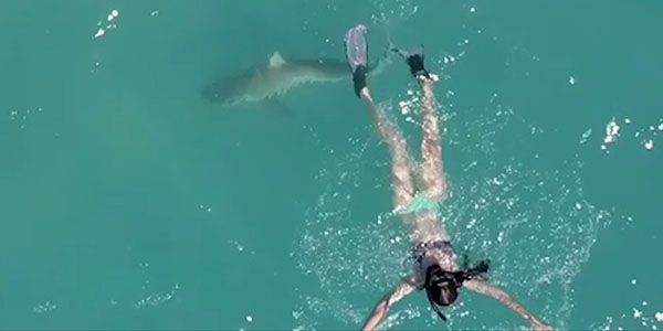 David Diez 인스타그램 캡처