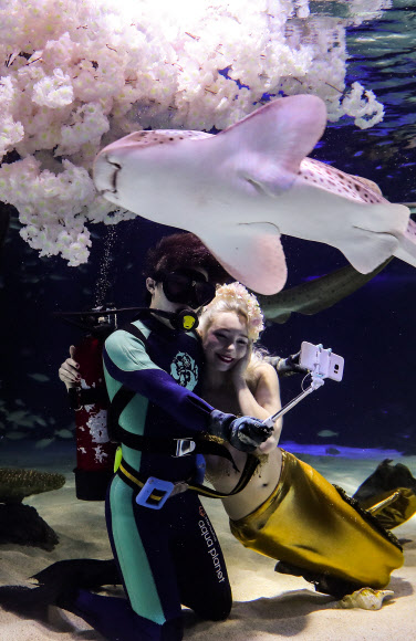 아쿠아플라넷63, 봄꽃 수조 특별전 개최