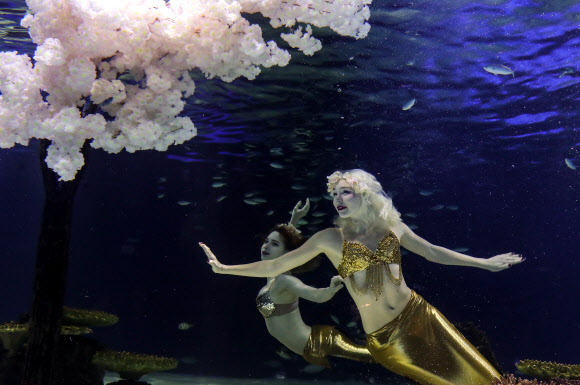 벚꽃놀이 즐기는 인어