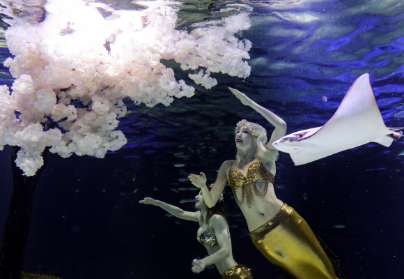 수족관에도 ’봄이 왔다’