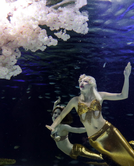 벚꽃놀이 즐기는 인어