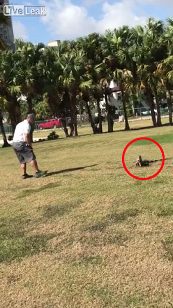 Liveleak.com ,Jan-Entertainment youtube