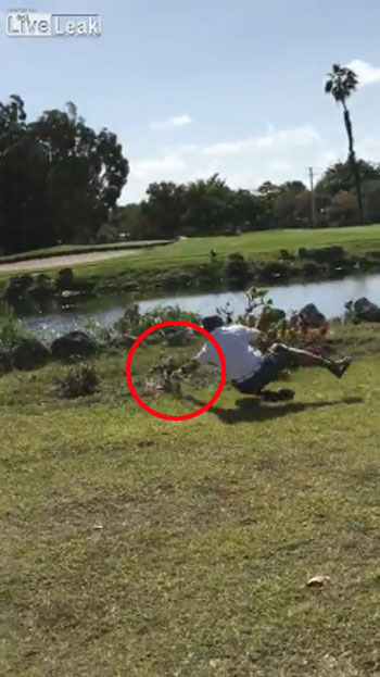 Liveleak.com ,Jan-Entertainment youtube