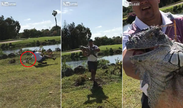 Liveleak.com ,Jan-Entertainment youtube