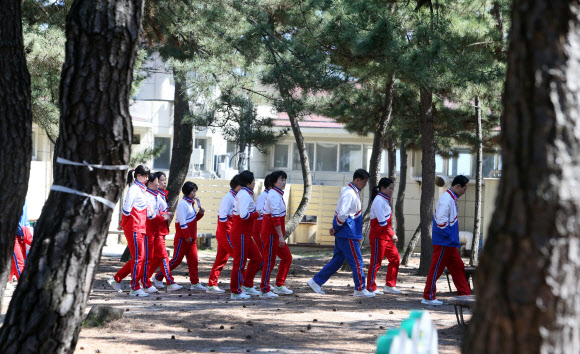 시원한 경포 솔밭 걷는 북한 선수들