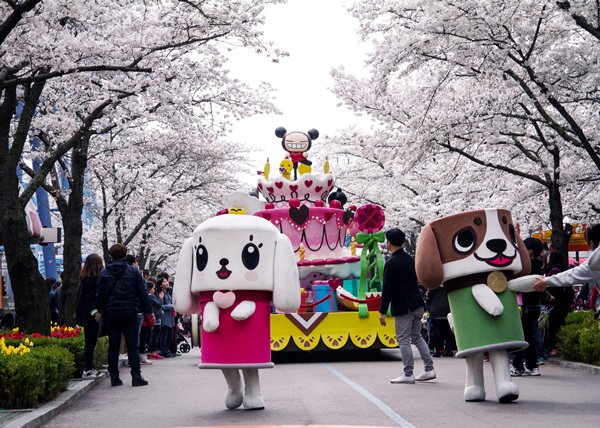 서울 도심에서 즐기는 봄…서울랜드 벚꽃축제
