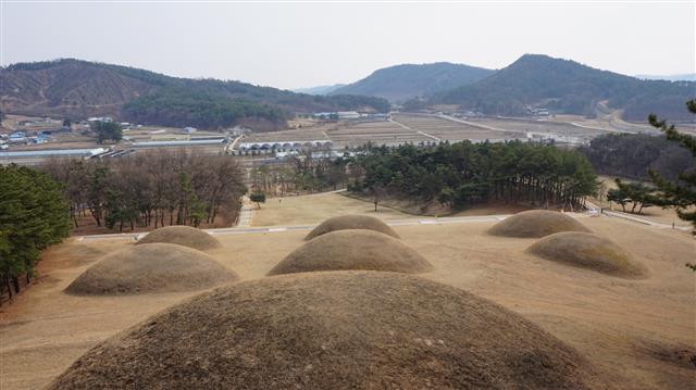 7기의 무덤으로 이루어진 능산리 고분군. 성왕은 물론 위덕왕의 무덤도 여기 있을 것으로 추정된다.