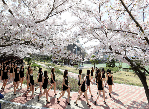 화창한 봄 날씨를 보인 10일 대전 대덕대학 모델학과 학생들이 야외수업 시간을 이용해 워킹연습을 하고 있다.  연합뉴스