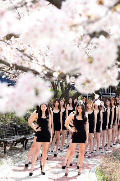 화창한 봄 날씨를 보인 10일 대전 대덕대학교 모델학과 학생들이 벚나무 아래서 포즈를 취하며 야외수업을 진행하고 있다.  연합뉴스