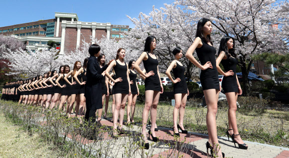 화창한 봄 날씨를 보인 10일 대전 대덕대학교 모델학과 학생들이 벚나무 아래서 포즈를 취하며 야외수업을 진행하고 있다.  연합뉴스