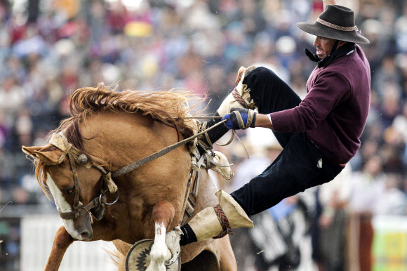 ’로데오만의 스릴’