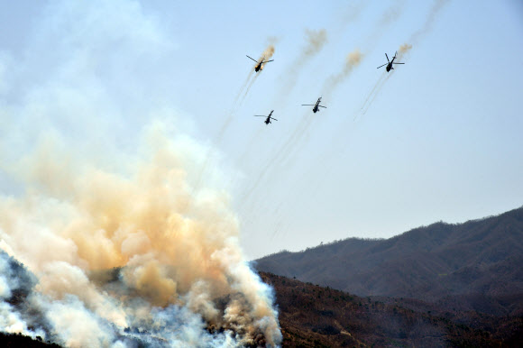 북한 김정은 노동당 위원장이 북한군 ’특수작전부대 강하 및 대상물 타격경기대회’를 참관했다고 북한 조선중앙통신이 13일 보도했다.  연합뉴스