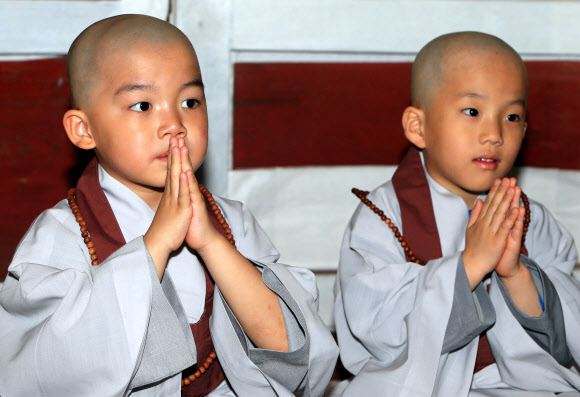 부처님 오신 날을 앞두고 14일 대한불교조계종제3교구 본사 설악산 신흥사가 마련한 동자승 단기출가 수계식에 참가한 불교유치원 어린이들이 스님들을 따라 합장을 하고 있다.  연합뉴스