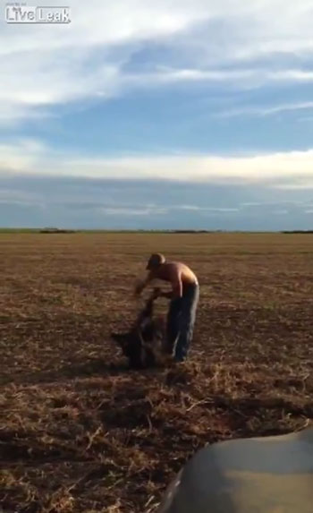 Liveleak.com / anonymous youtube