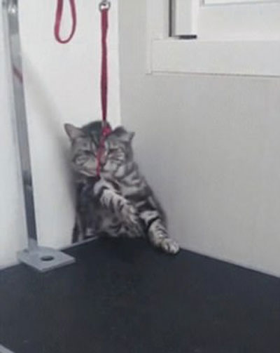 lessons_learnt Reddit