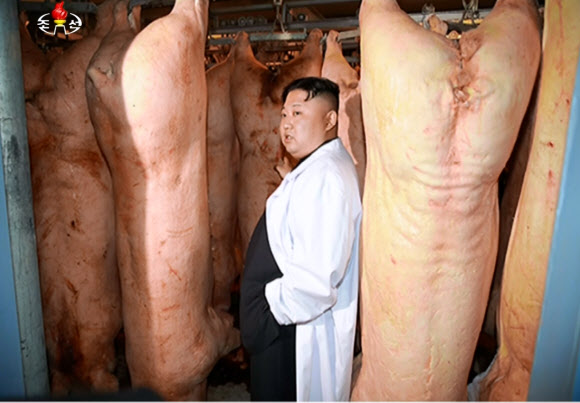 김정은 북한 노동당 위원장이 북한군 공군부대의 돼지공장을 시찰했다고 조선중앙TV가 23일 보도했다.  연합뉴스