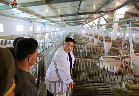 김정은 북한 노동당 위원장이 북한군 공군부대의 돼지공장을 시찰했다고 조선중앙TV가 23일 보도했다. 연합뉴스