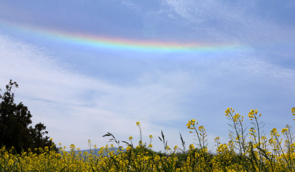 제주 하늘에 또 나타난 ‘무지갯빛 구름’