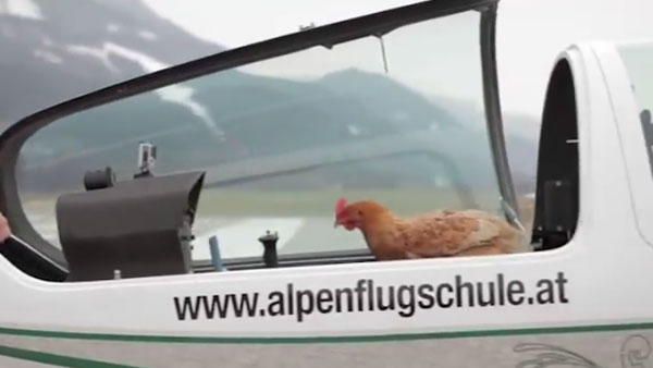 Zur&uuml;ck zum Ursprung youtube