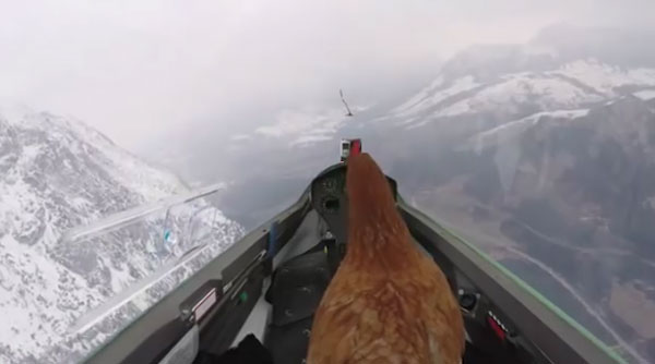 Zur&uuml;ck zum Ursprung youtube