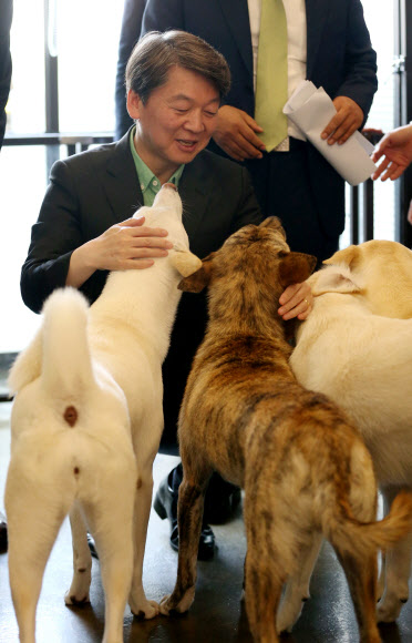 안철수 후보, 유기견과의 만남