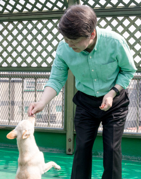 반려견 간식 주는 안철수 후보