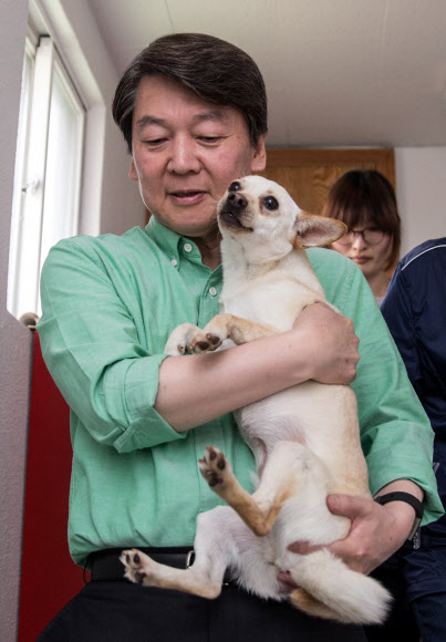 반려견 안은 안철수 후보