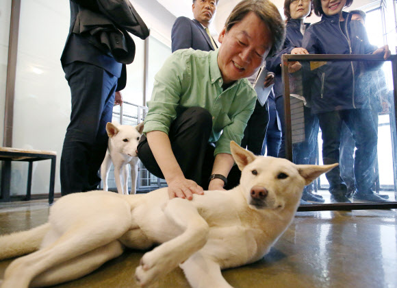 유기견과의 교감을 위하여
