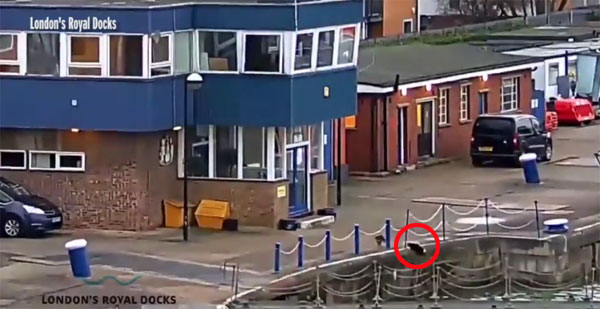 London’s Royal Docks / New World youtube