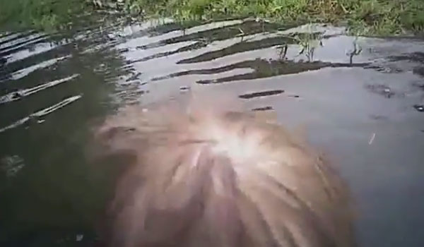 Video Leak Police youtube