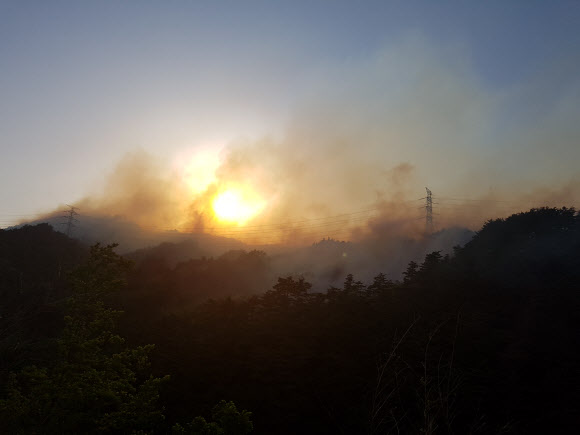 강릉 산불…송전탑도 위험