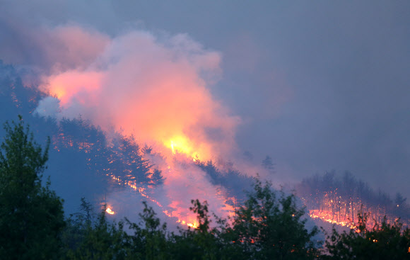 산불 자료사진. 연합뉴스