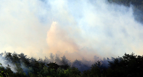 재발화한 강릉 산불진화에 나선 산림청 산불진화 헬기가 8일 오전 산불 연기가 가득한 성산면 어흘리 지역에서 진화작업을 벌이고 있다.  연합뉴스