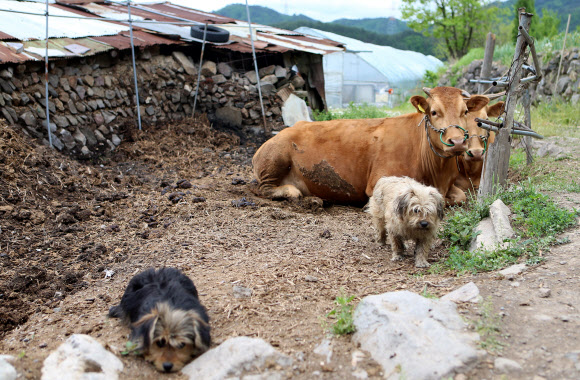 ’산불, 정말 무서웠어요’