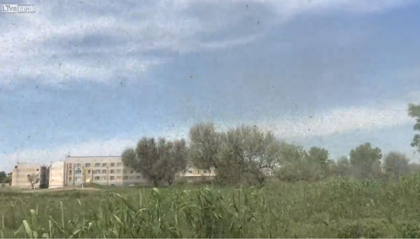 Liveleak / Random Videos youtube