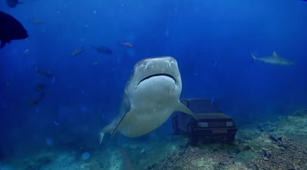 Eugene Romanovsky youtube