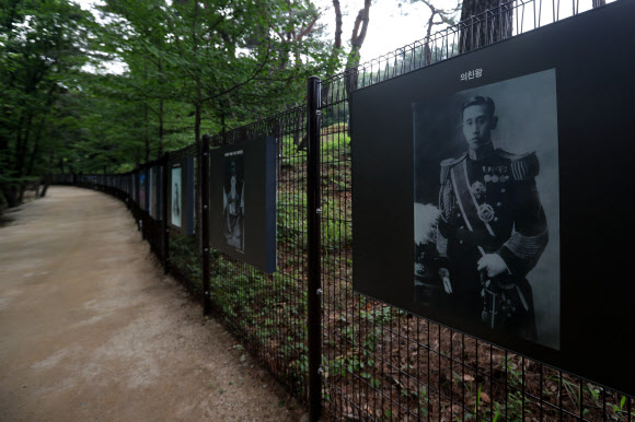 문화재청은 경기도 남양주시 금곡동 ’홍릉과 유릉’(사적 제207호)에 있는 덕혜옹주묘와 의친왕묘를 16일부터 일반에 공개했다. 덕혜옹주(1912∼1989)는 고종과 복녕당 양씨 사이에서 태어난 대한제국의 마지막 황녀이다. 의친왕(1877∼1955)은 고종의 다섯째 아들이다. 문화재청은 대한제국 선포 120주년을 맞아 이번에 일반인에게 전면 개방하기로 했다. 사진은 덕혜옹주묘와 의친왕묘 입구에 있는 의친왕의 모습.  연합뉴스